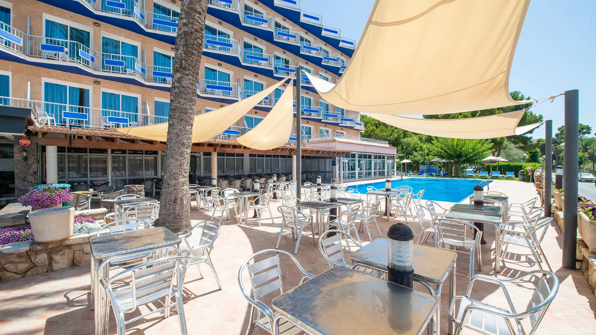 ***  Hotel Boreal Playa de Palma  Spanien